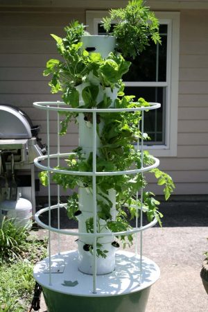 Backyard-Vertical-Aeroponic-Gardening-Technique