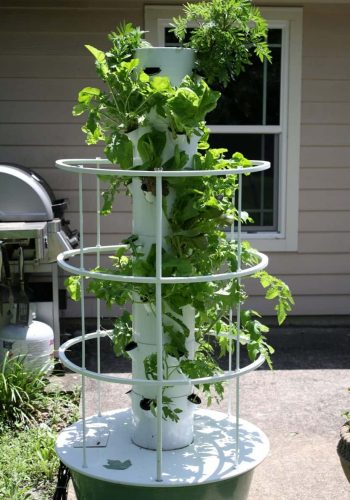 Backyard-Vertical-Aeroponic-Gardening-Technique